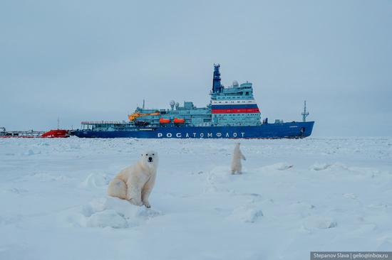 Russian Nuclear Icebreakers on the Northern Sea Route, photo 4