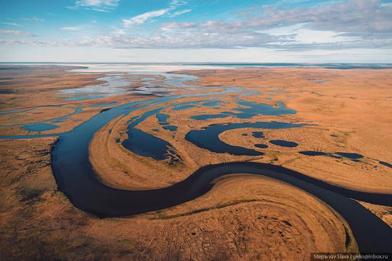 Taymyr - the Largest Peninsula in Russia, photo 10