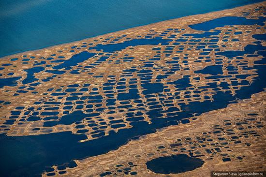 Taymyr - the Largest Peninsula in Russia, photo 11