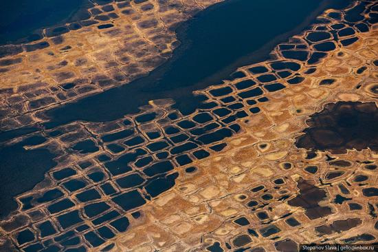 Taymyr - the Largest Peninsula in Russia, photo 12