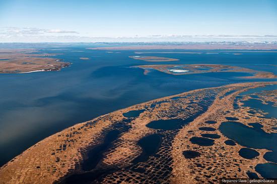 Taymyr - the Largest Peninsula in Russia, photo 15