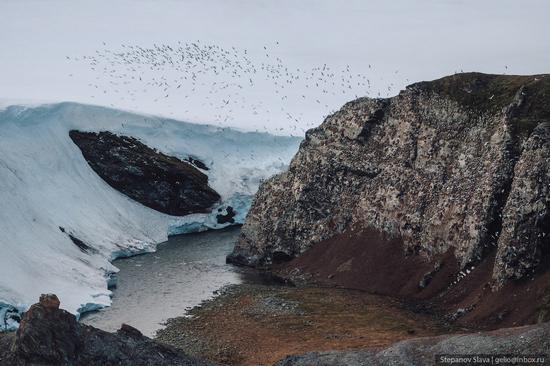 Taymyr - the Largest Peninsula in Russia, photo 17