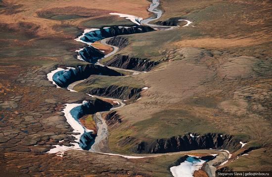 Taymyr - the Largest Peninsula in Russia, photo 18