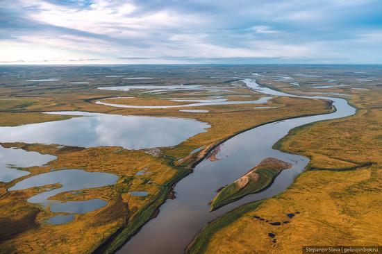 Taymyr - the Largest Peninsula in Russia, photo 25
