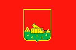 Bryansk city flag