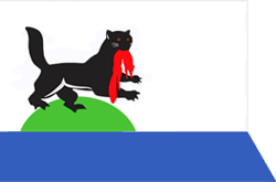 Irkutsk city flag