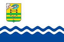 Petrozavodsk city flag