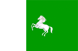 Tomsk city flag