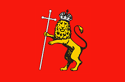 Vladimir city flag