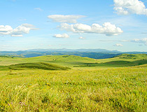Altai Krai landscape