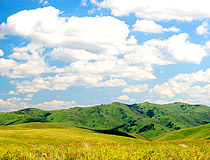 Altai region nature