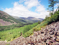 Amur region landscape