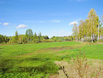 Amurskaya oblast nature