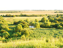 Bryansk region landscape