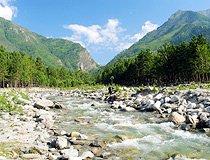 Mountain stream in Buryatia