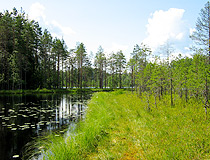 Karelia scenery