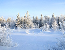 Winter in the Khanty-Mansi region