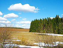 Cold taiga landscape in Kirov oblast