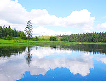 Forest lake in the Komi Republic