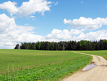 Road to the forest in the Kostroma region