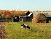 Rural life in Mari El
