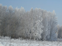Winter in Mari El