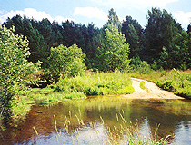 Nature of Nizhny Novgorod Oblast