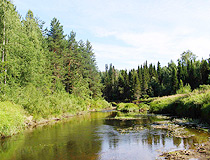 Small river in the Nizhny Novgorod region
