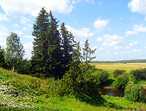 Omsk region landscape