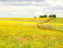 Orenburg oblast landscape