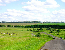 Penza province landscape