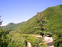Hilly landscape of the Primorsky region