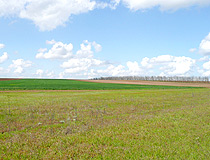 In the fields of the Stavropol region