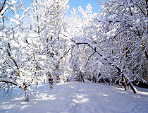 Winter in Stavropol Krai