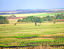 Beautiful nature of Stavropol Krai