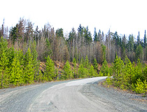 Road in the Sverdlovsk region
