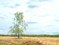 Tomsk region scenery