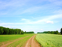 Field road in Tomsk Oblast