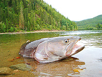 Tuva - a great place for fishing