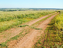 Field road in Udmurtia