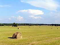 Harvesting of hay in Vladimir oblast