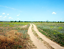Field road in the Volgograd region
