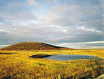 Yamalo-Nenetsky okrug landscape