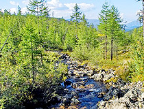 Creek in Zabaykalsky Krai