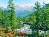Nature of Amur Oblast