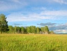 Amur region scenery