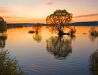 Sunset in the Belgorod region