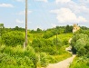 Bryansk Oblast scenery