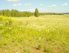 Summer in the Chelyabinsk region