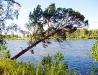 Beautiful nature of the Irkutsk region